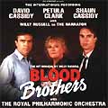 BLOOD BROTHERS (1995 International Recording) - CD