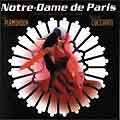 NOTRE DAME DE PARIS (1998 Concept Album) franz. - CD