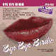 Playback! BYE BYE BIRDIE (JTG) - CD
